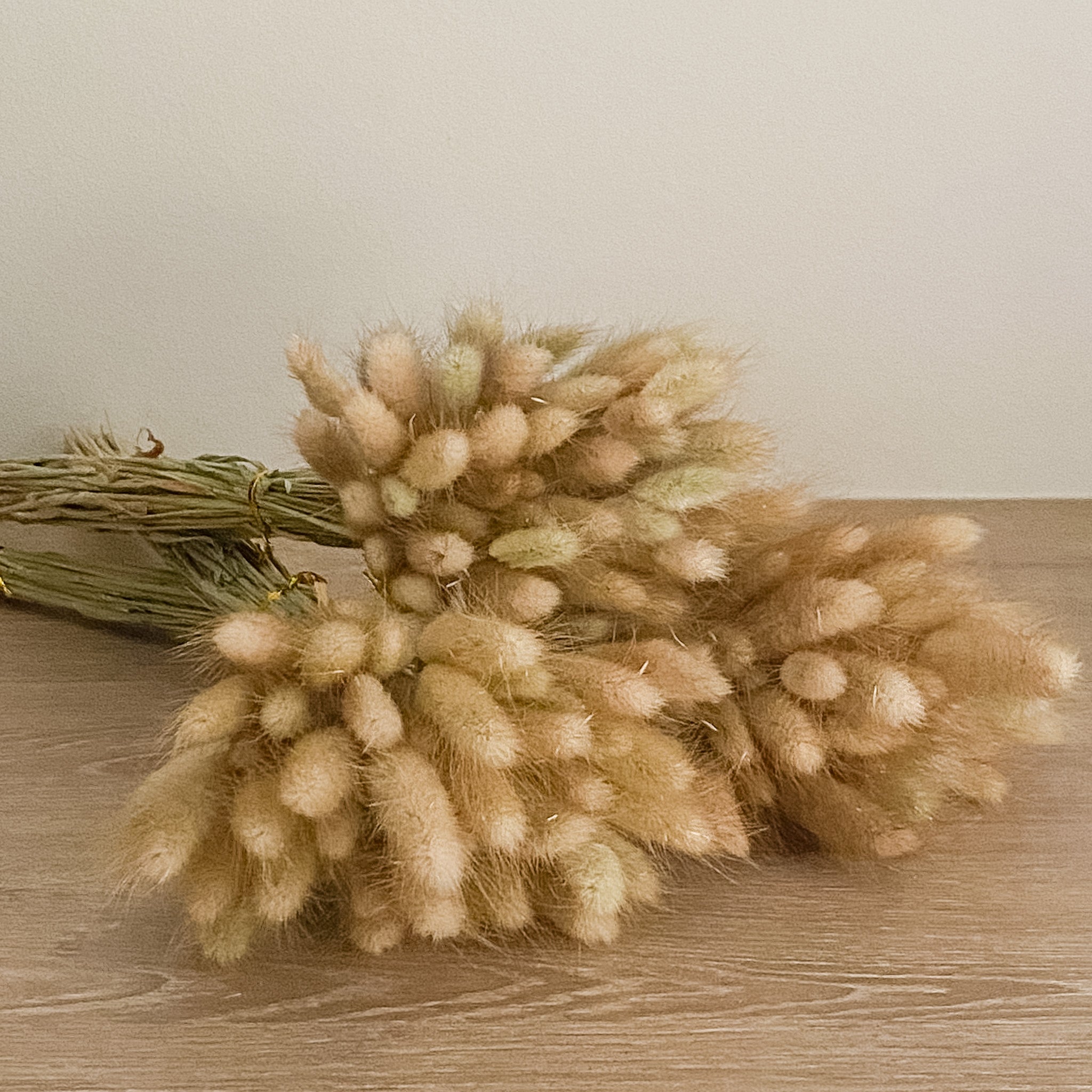 Bunny Tails - Natural