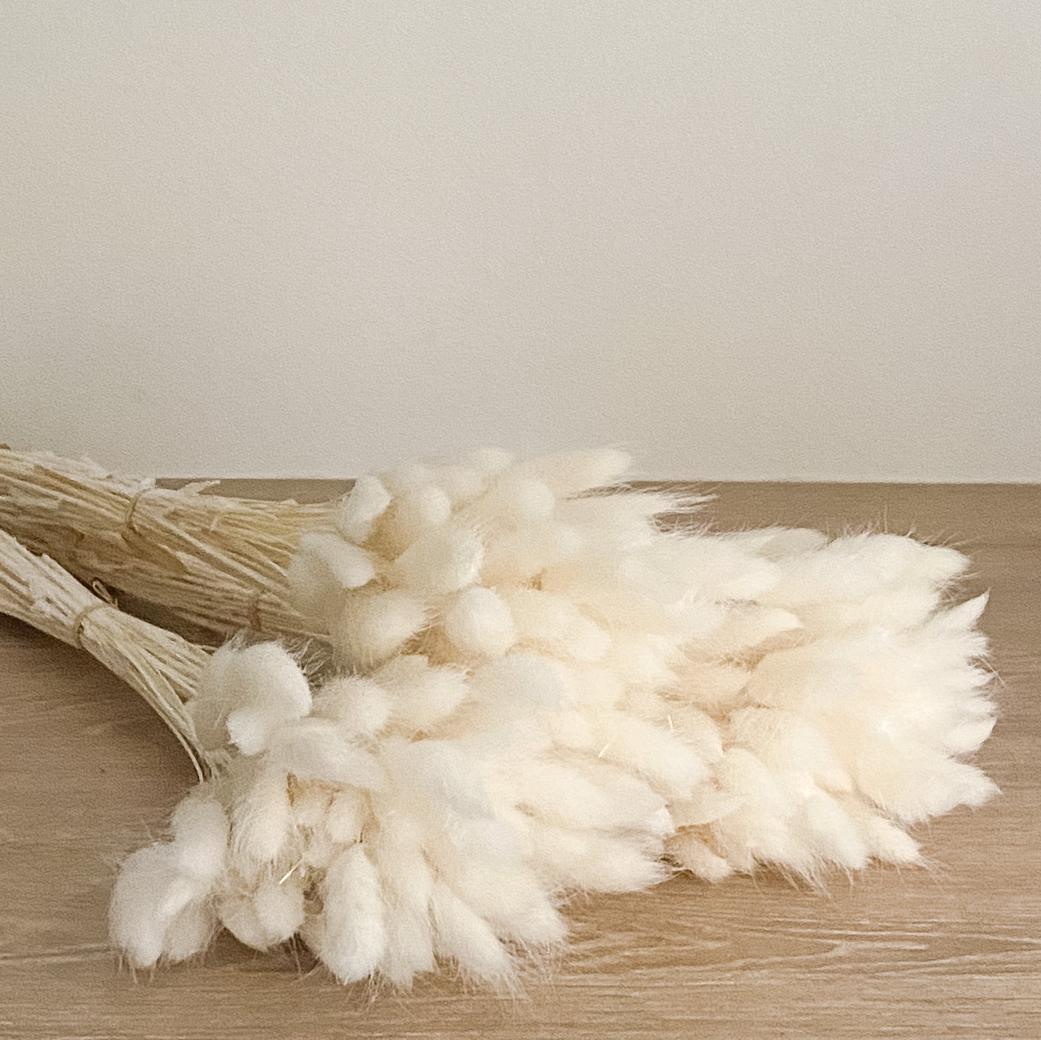 Bunny Tails - White